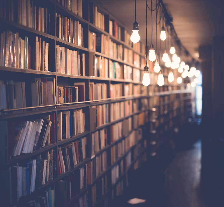 Library shelves lined with books